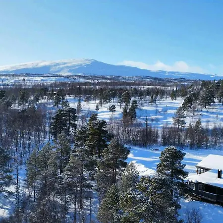 In High Mountains On Saltfjellet *